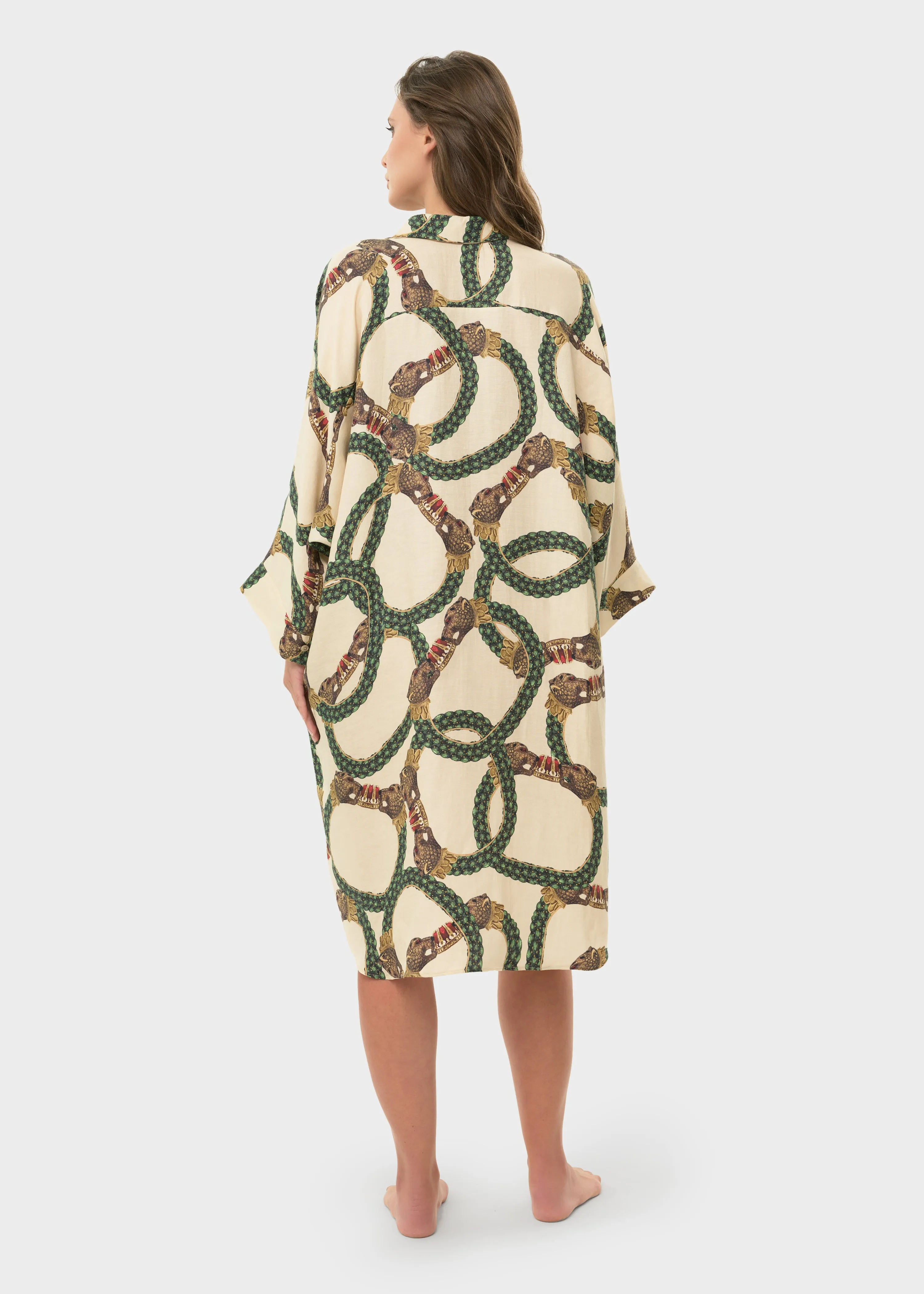 Celine Mystique Button Down Dress