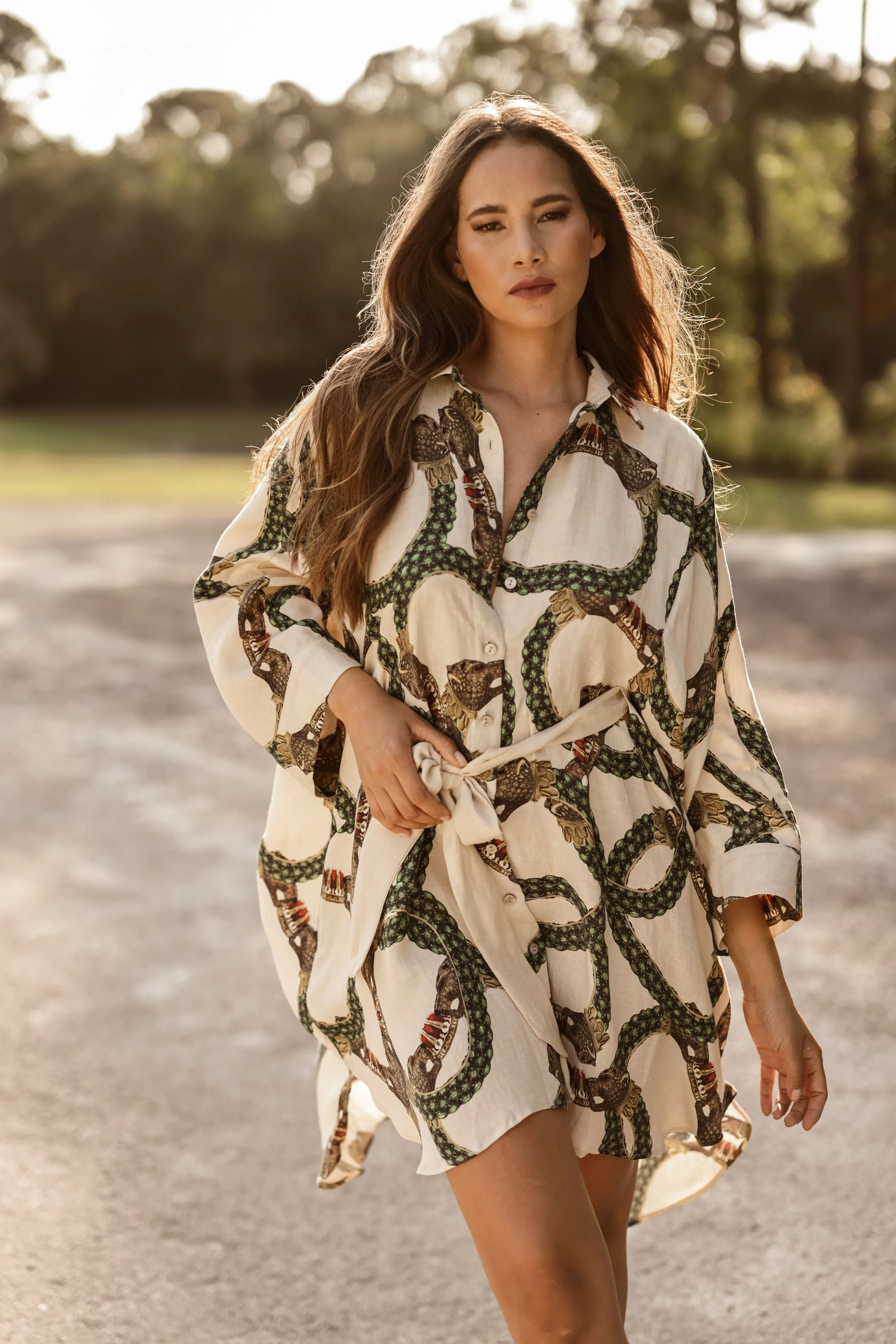 Celine Mystique Button Down Dress