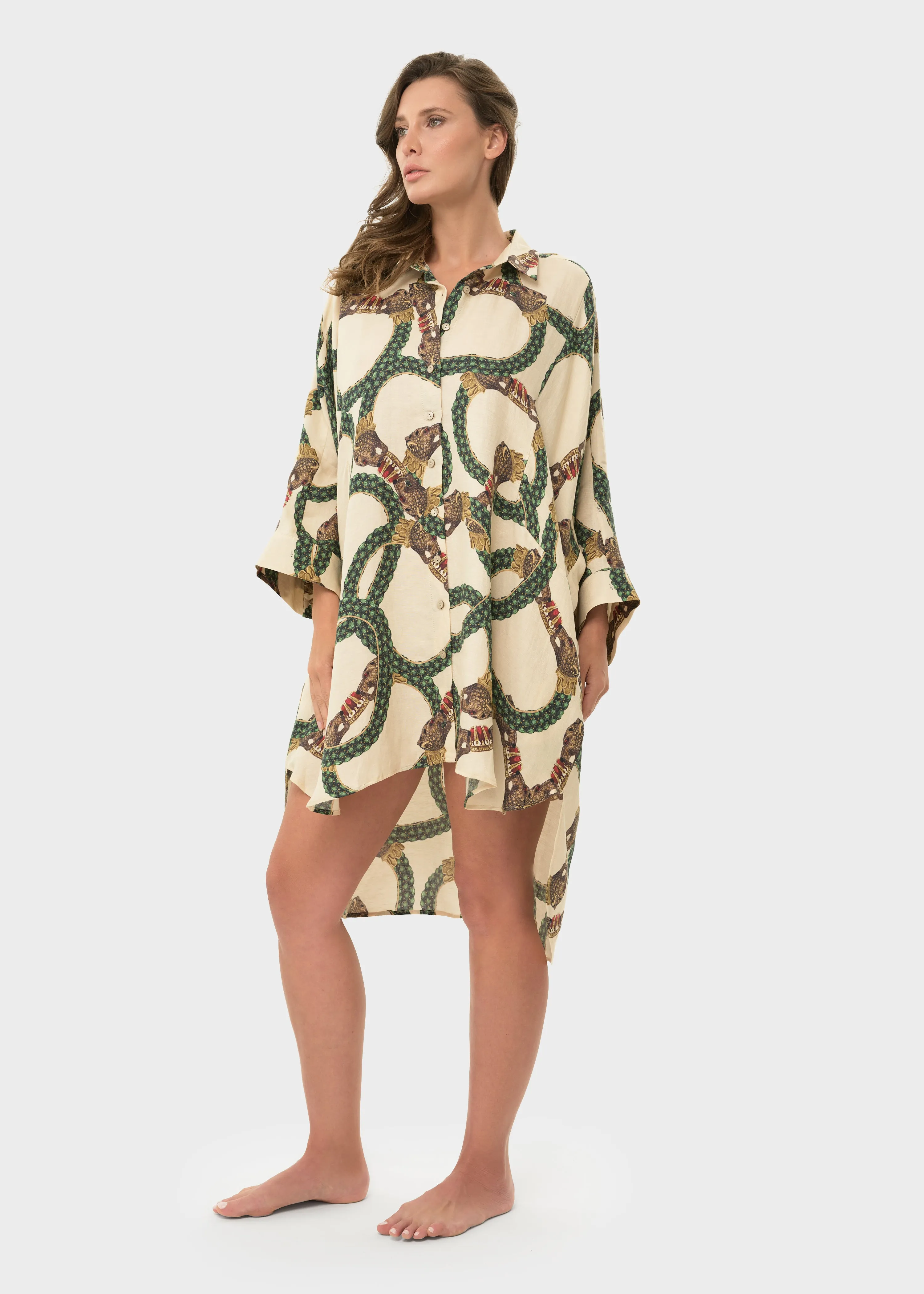 Celine Mystique Button Down Dress