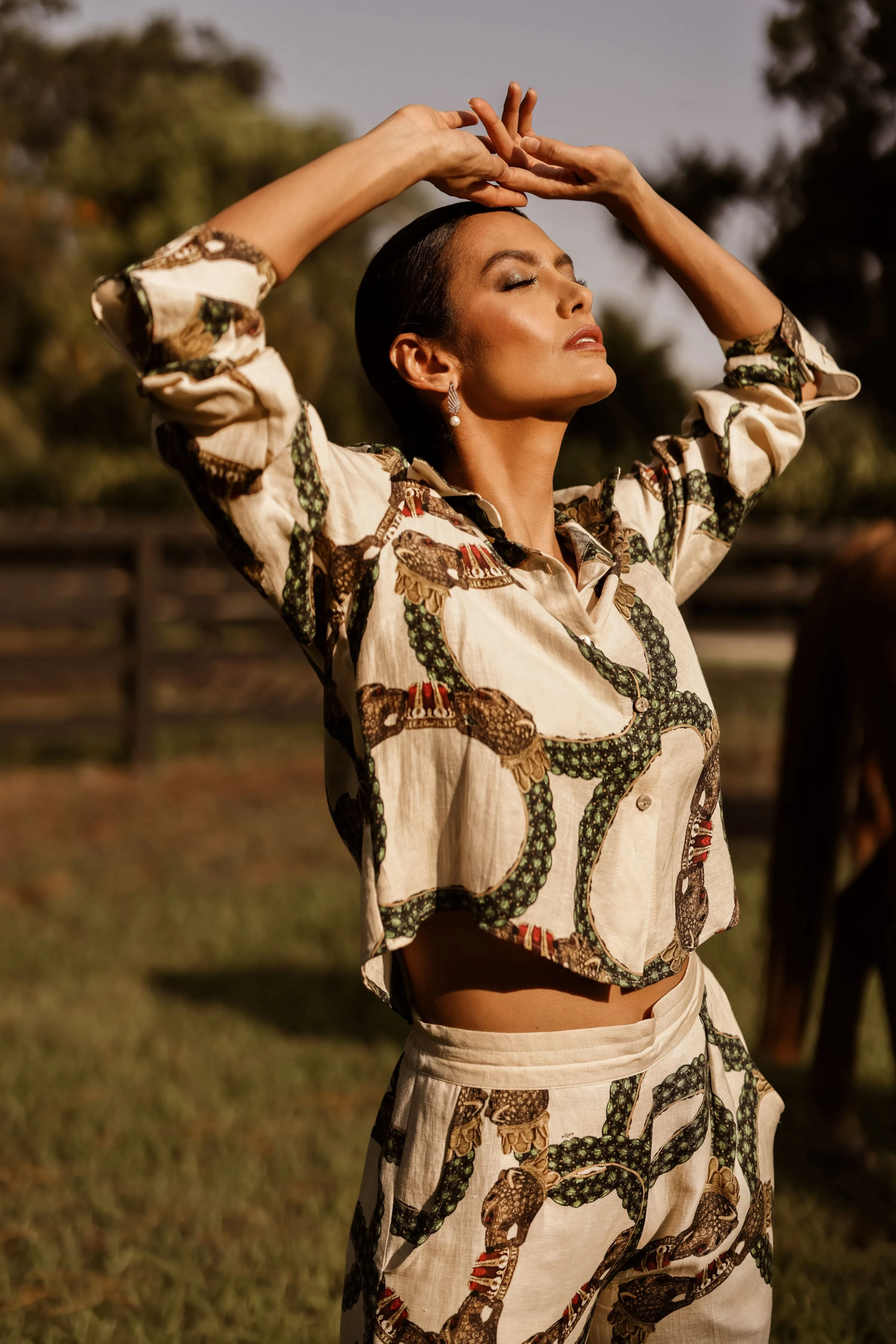 Celine Mystique Cropped Button Down Shirt